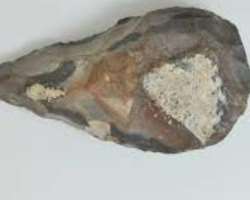 Numerous flint tools and split bones are found at the site.